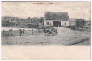 1901 Torda, Turda; Aranyos híd, lovaskocsi / bridge, horse-drawn carriage (fl)