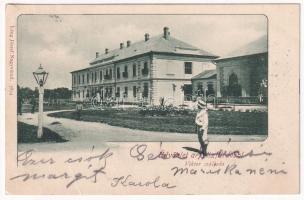 1901 Félixfürdő, Baile Felix; Viktor szálloda. Láng József kiadása / hotel, spa (fa)