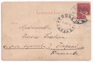 1901 Temesvár, Timisoara; Cs. és kir. gyalogsági hadapródiskola, emlékmű, híd, főépület és szobák, é...