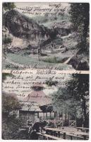 1914 Kisdisznód, Michelsberg, Cisnadioara; Halber Stein, Tanzschopfen / vendéglő / restaurant, inn (fl)