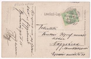 1910 Beszterce, Bistritz, Bistrita; Gewerbeverein, Villa Franca am Schieferberg, Marktplatz, Hauptga...