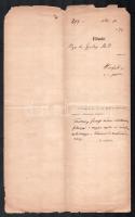 1871 Gyulai Pál (1826-1909) irodalomtörténész, író autográf sorai bölcsészkari dokumentumon Ferenczy...
