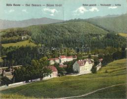 Báznafürdő panorama card