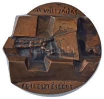 DN A váci járás fejlesztéséért egyoldalas, öntött bronz plakett (~103-108mm) T:XF