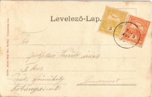 1906 Bártfa, Bártfafürdő, Bardejovské Kúpele, Bardiov, Bardejov; Emlékoszlop az Orvos forrásnál, mel...