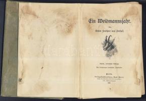1922 Doroszloy Mihály: Vadászat a világtörténelemben című könyve a Lampel R. kiadóvállalattól és 190...