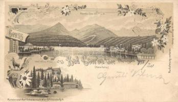 1898 Csorba lake litho