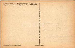 Az Orgoványi erdőben... Fehérterror Magyarországon. Verlag der Arbeiter-Buchhandlung / White Terror ...