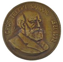 Tőrös Gábor (1934-2021) DN "gróf Teleki Sándor 1821-1892" bronz emlékplakett (96mm) T:XF felül a peremén átfúrva