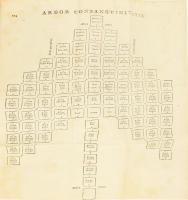 [Huszty István (1710-1772)] Stephano Huszty: Jurisprudentia practica seu commentarius novus in jus H...