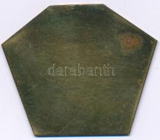 1958. "Magyar Lovas Szövetség O.B. II. - Gyöngyös" bronz sport emlékplakett (45x54mm) T:XF...