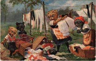 Blinder Eifer schadet nur! / Macskák ruhákat teregetnek / Cats doing the laundry. T.S.N. Serie 1602. (6 Muster) s: Arthur Thiele (fa)