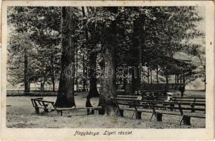 1923 Nagybánya, Baia Mare; Ligeti részlet. Kovács Gyula kiadása / park (EK)