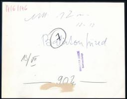 1971 Balatonfüred, Kisfaludi Strobl Zsigmond "Gyík" c. szobra az Anna Grand Hotel előtt, s...