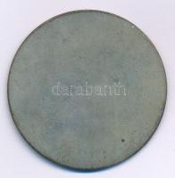 1936. "Nemzeti Lovarda Egylet - Siófok 1936. jun. 6-9" ezüstözött bronz emlékérem (39mm) T...