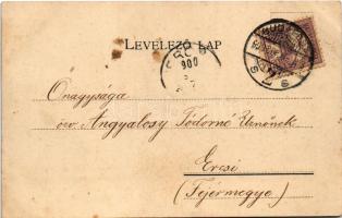 1900 Budapest I. Krisztinaváros látképe. Károlyi György kiadása