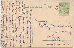 1915 Mór, Vértes hegy, Csókai út. Wiesner István kiadása (kis szakadás / small tear)