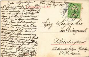 1912 Pécs, Irgalmasok utca, Gyógyszertár, Frankl Izidor, Hirschler Mór, Ifj. Fürst Gyula üzlete, Szá...