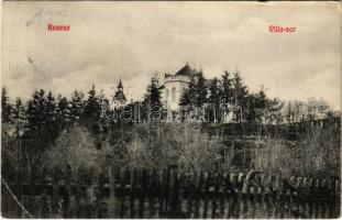 1910 Balatonkenese, Kenese; Villasor