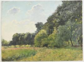 Sárdy Brutus (1892-1970): Napfényes táj. Olaj, vászon, vakráma nélkül, jelzés nélkül 42x56cm