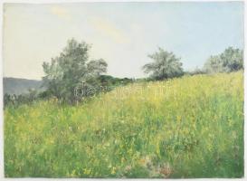 Sárdy Brutus (1892-1970): Tájkép. Olaj, vászon, vakráma nélkül, jelzés nélkül 42x57cm