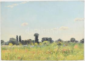 Sárdy Brutus (1892-1970): Tájkép. Olaj, vászon, vakráma nélkül, jelzés nélkül 29x41cm