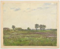 Sárdy Brutus (1892-1970): Tájkép. Olaj, vászon, kartonra kasírozva, jelzés nélkül 42x52cm