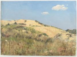 Sárdy Brutus (1892-1970): Tájkép. Olaj, vászon, vakráma nélkül, jelzés nélkül, felületi sérülésekkel, 42x57cm