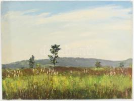 Sárdy Brutus (1892-1970): Tájkép. Olaj, vászon, vakráma nélkül, jelzés nélkül 42x56cm