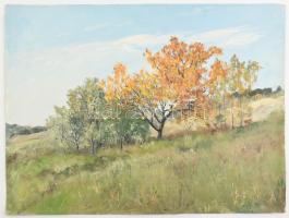 Sárdy Brutus (1892-1970): Tájkép. Olaj, vászon, vakráma nélkül, jelzés nélkül, 42x56cm