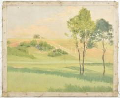 Sárdy Brutus (1892-1970): Tájkép. Olaj, vászon, vakráma nélkül, jelzés nélkül, 39x49cm