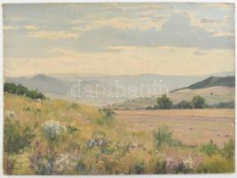 Sárdy Brutus (1892-1970): Tájkép. Olaj, karton, jelzés nélkül, 36x49cm