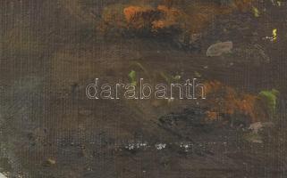 Sárdy Brutus (1892-1970): Táj. Olaj, vászon, vakráma nélkül. Jelzett. Kis sérülésekkel, 44x56 cm