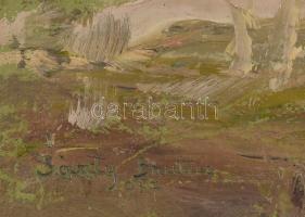 Sárdy Brutus (1892-1970): Fák. Olaj, vászon, vakráma nélkül. Jelzett. 42x53 cm