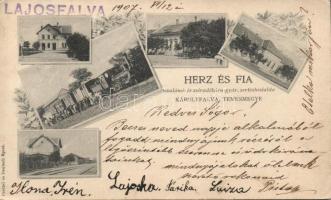 Károlyfalva with railway-station and Herz salami-factory