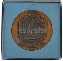 Ligeti Erika (1934-2004) 1975. A Szocialista Magyar Gyógyszerellátásért 1950-1975 kétoldalas bronz plakett, eredeti tokban (97mm) T:AU