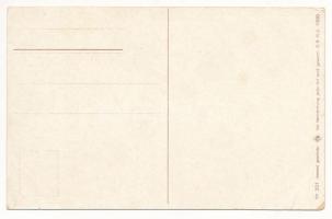 Oh du mein Österreich! Oh du mein Vaterland! / Osztrák-magyar birodalom katonai propaganda repülőgép...