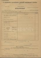 ~1941 Származás igazolására szolgáló nyilatkozati minta, kitöltetlen és szép állapotban