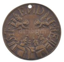 DN Szentendre bronz emlékérem, hátoldalán 100/58 sorszámmal, medálként hordható furattal (33mm) T:AU