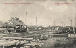 Mezőtelegd Aszfalt gyár vasútállomás