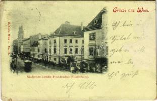 1901 Wien, Vienna, Bécs; Niederöstr. Landes-Findelanstalt (Alserstrasse / Lower Austria State Foundling Home (EK)