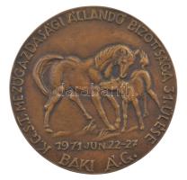 1971. K.G.S.T. Mezőgazdasági Állandó Bizottsága 31. ülése - Baki Á.G. bronz emlékplakett, hátoldalára filc réteg ragasztva (103mm) T:XF