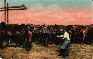 Hortobágy, Élet a Hortobágyon. Pányvavető csikós (b)