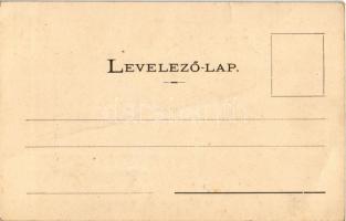 Budapest, Az Országos Nemzeti Szövetség által az amerikai magyarok részére alapított nemzeti zászló....