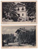 Csíz, Csízfürdő, Kúpele Cíz; - 2 db RÉGI város képeslap: Mária nyaraló, Horváth nyaraló / 2 pre-1945 town-view postcards: villas
