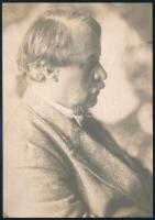 Rippl-Rónai József (1861-1927) festő profilképe, Rónai Dénes által készített fotó, hátoldalon feliratozva, 20×14 cm