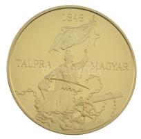 Csontos Attila DN "Talpra magyar - Az 1848-as forradalom története / 12 pont" aranyozott b...