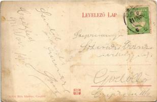 1911 Cegléd, vasútállomás. Sebők Béla kiadása (fl)