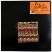 b-tribe - Nadie Entiende (Nobody Understands), Vinyl, 12, 33 1/3 RPM, Amerika 1993 (VG+)