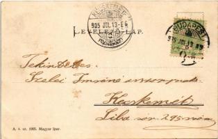 1905 Szabadka, Subotica; Kossuth utca, szálloda Pest városhoz, üzletek / street view, hotel, shops